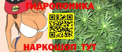 ГАЛЛЮЦИНОГЕННЫЕ ГРИБЫ Можайск