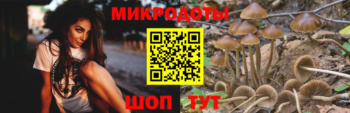 Подольск  Галлюциногенные грибы мухоморы  Галлюциногенные грибы MAGIC MUSHROOMS  Вход с VPN 